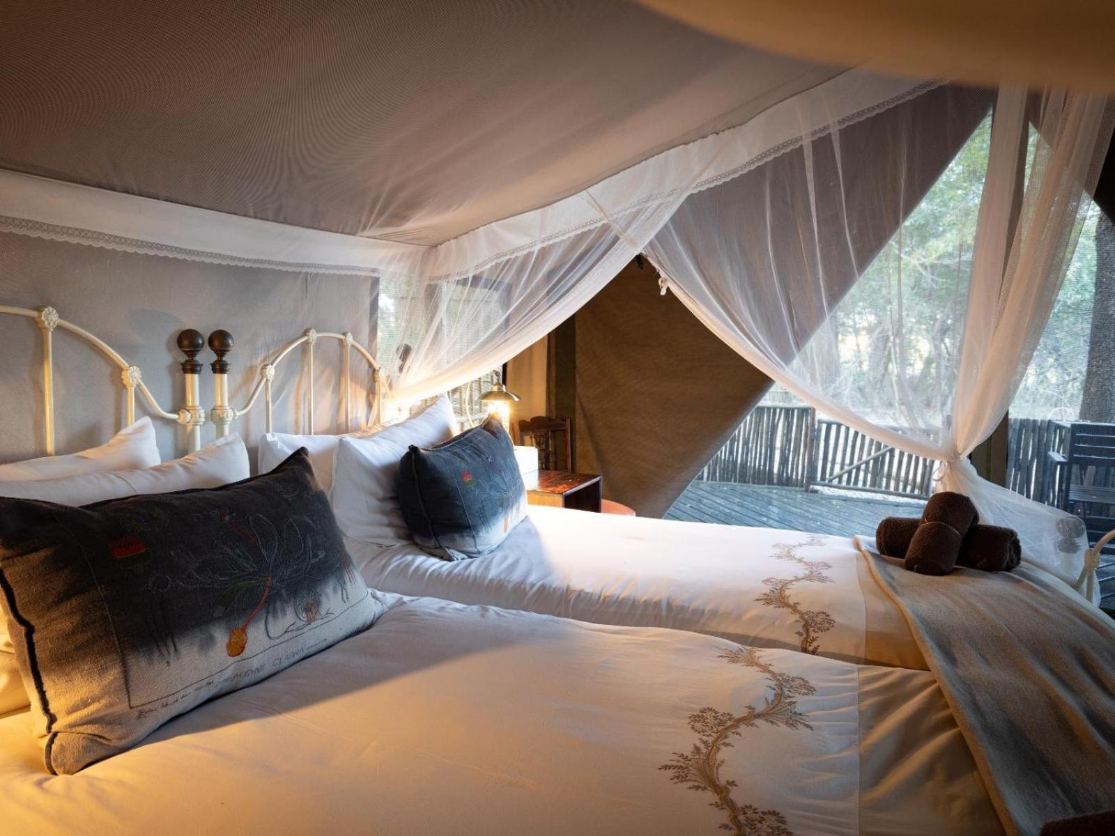 Kwambili Game Lodge Reserva de Caça Thornybush Quarto foto