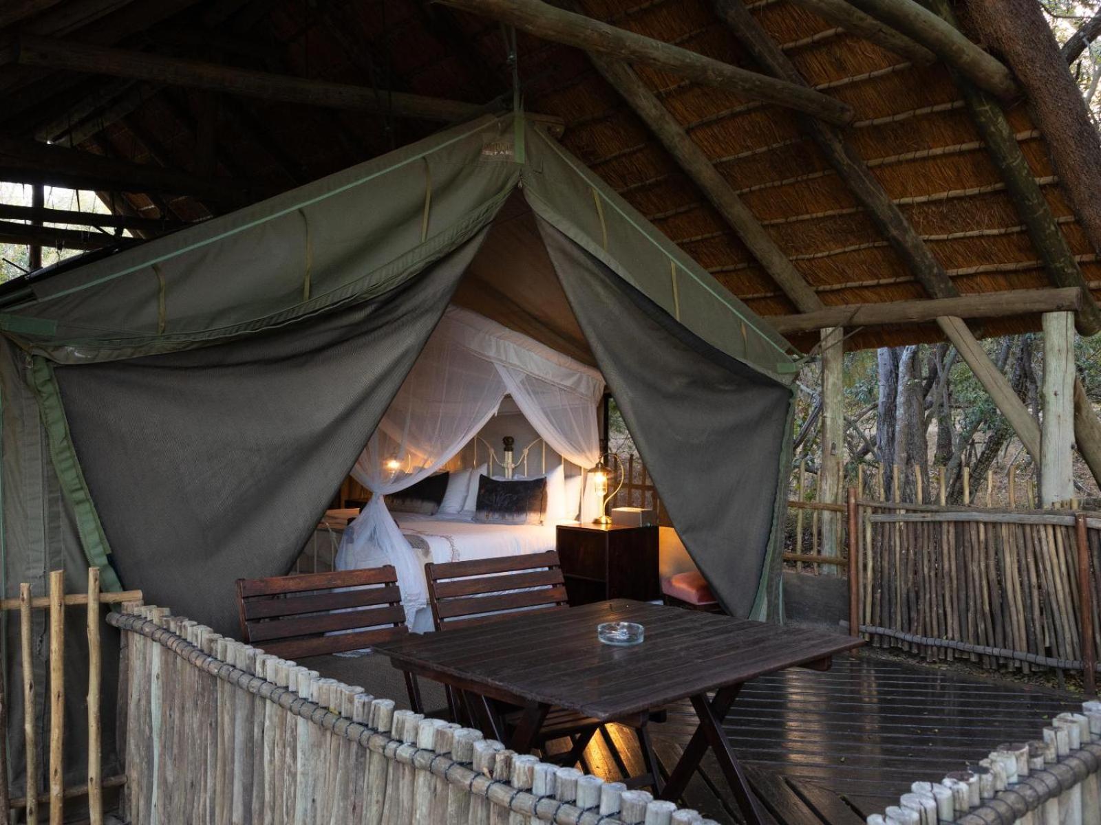 Kwambili Game Lodge Reserva de Caça Thornybush Quarto foto