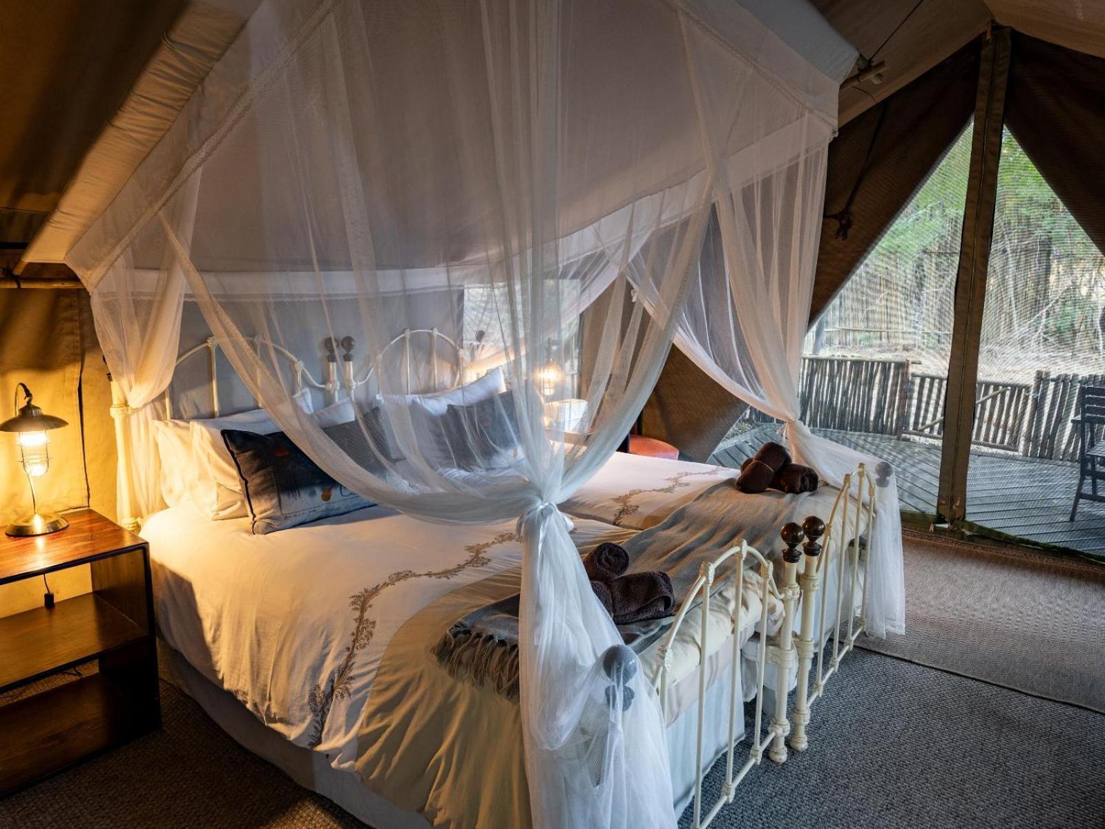 Kwambili Game Lodge Reserva de Caça Thornybush Quarto foto