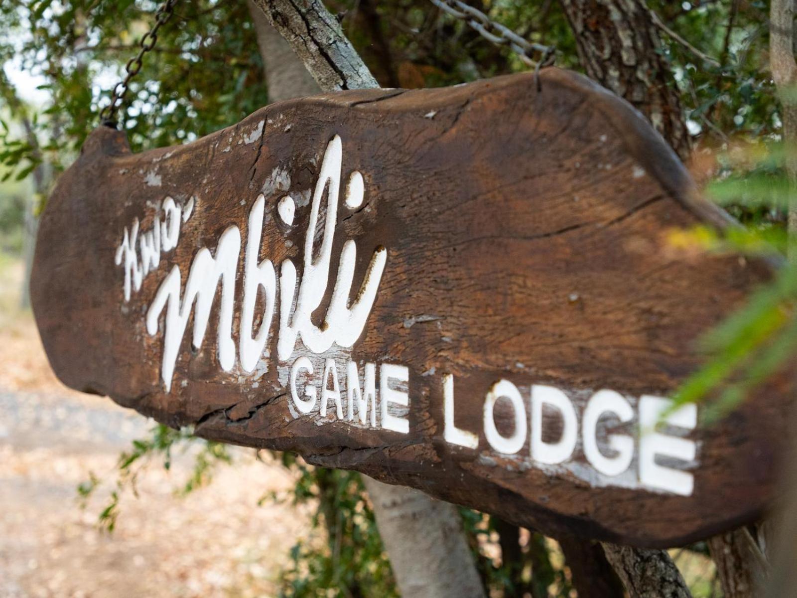 Kwambili Game Lodge Reserva de Caça Thornybush Exterior foto