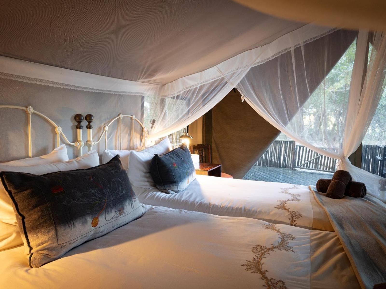 Kwambili Game Lodge Reserva de Caça Thornybush Exterior foto