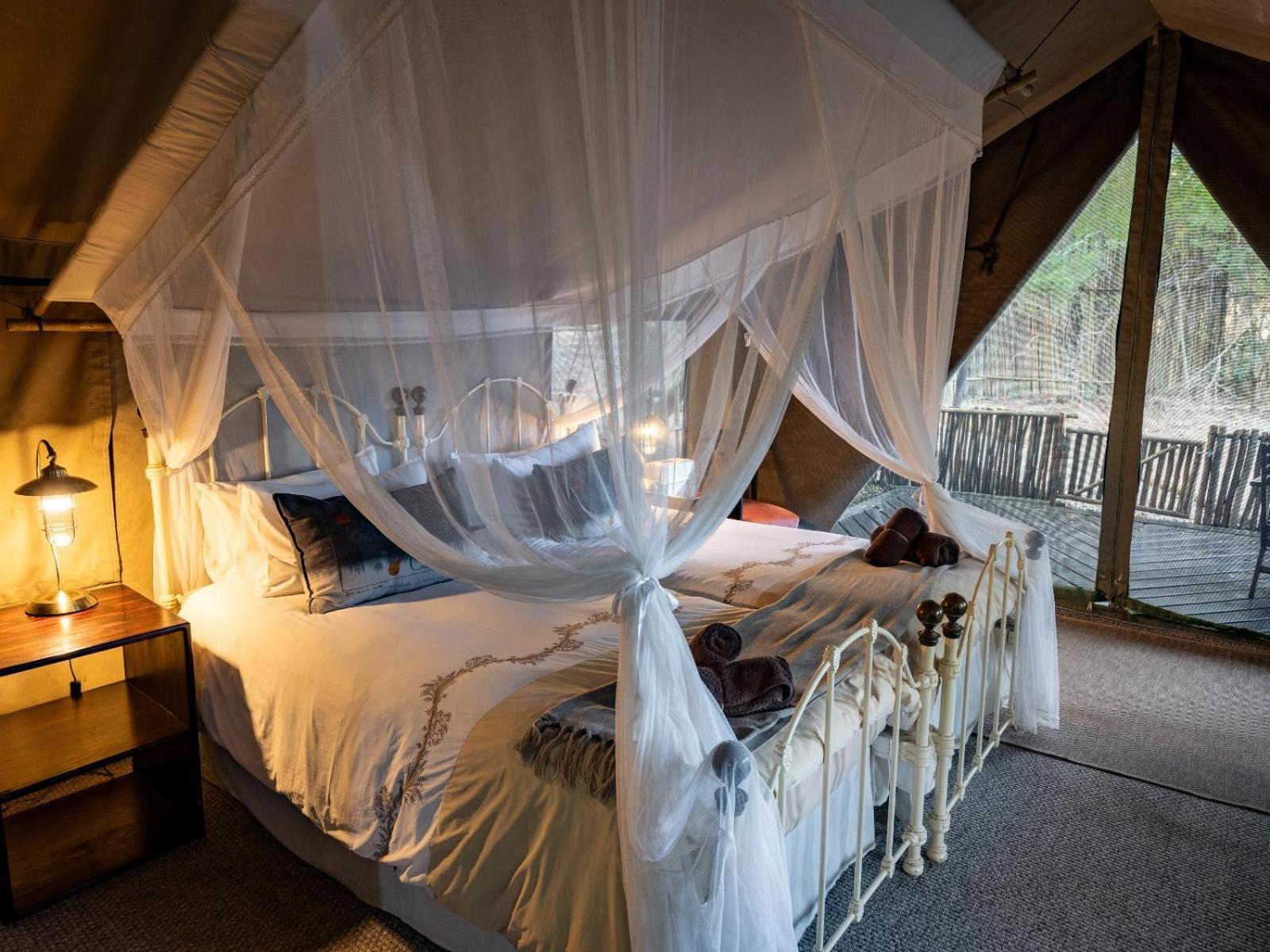 Kwambili Game Lodge Reserva de Caça Thornybush Quarto foto