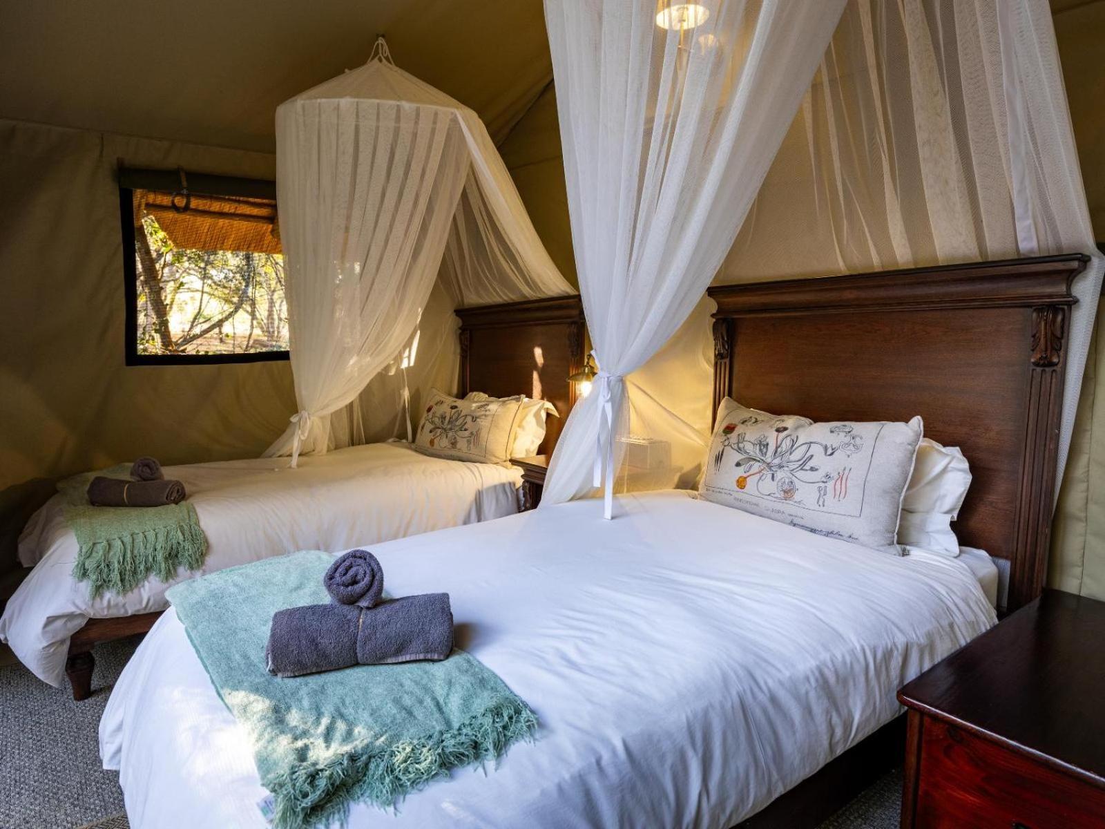 Kwambili Game Lodge Reserva de Caça Thornybush Exterior foto