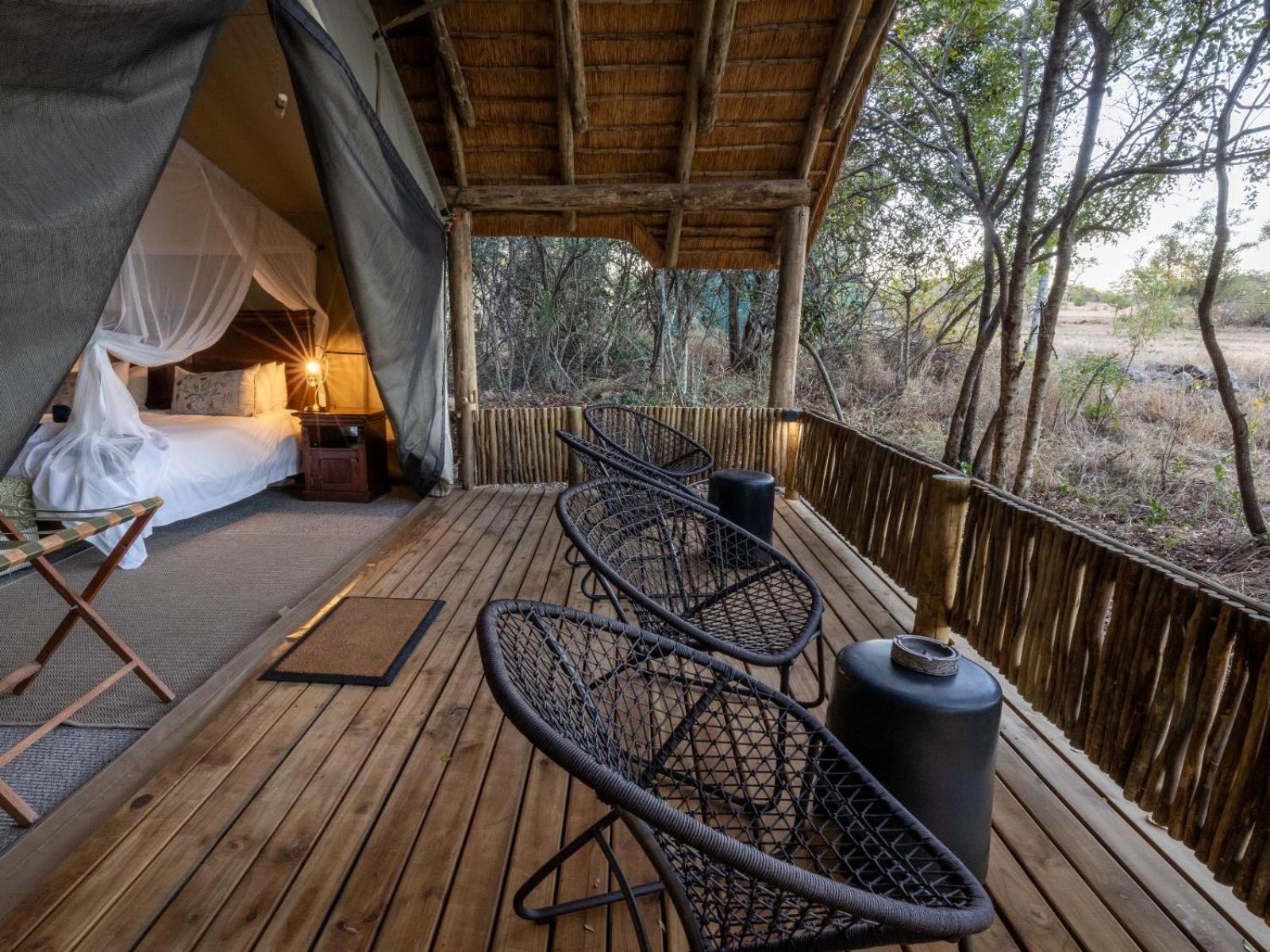 Kwambili Game Lodge Reserva de Caça Thornybush Quarto foto