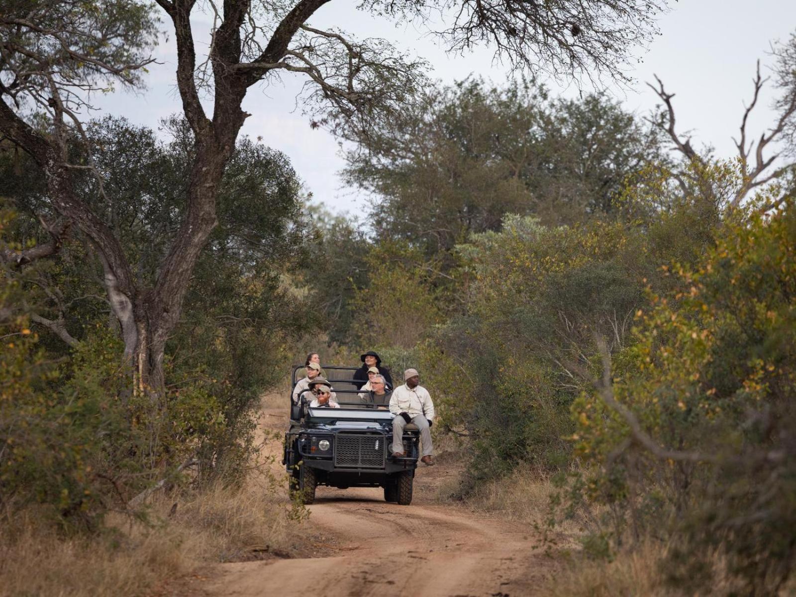 Kwambili Game Lodge Reserva de Caça Thornybush Exterior foto